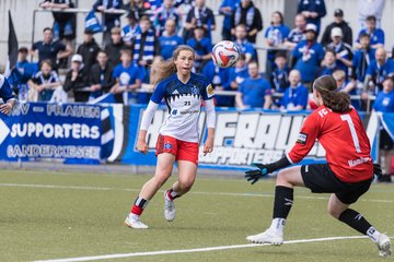 Bild 157 - wBJ Hamburger SV - FC Suederelbe : Ergebnis: 9:0